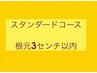 【スタンダードコース】根元染め 3cmまで