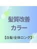 【白髪/全体ロング】髪質改善カラー
