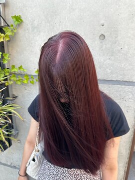 サイ アオヤマ(sai AOYAMA) wine red