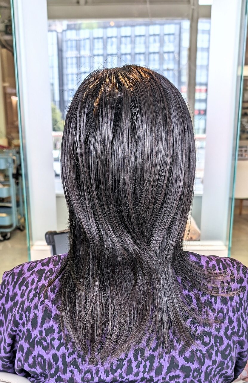 ホワイトシルバーとヴァイオレットセクションカラーのウルフ