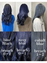 レオクマ(REOKUMA)&nbsp;ブルーブラック/ネイビーブルー/コバルトブルー/ブリーチ