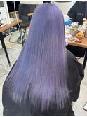 ブルーラベンダー