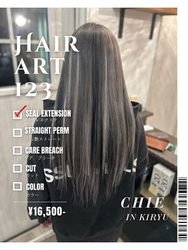 ヘアーアート ワンツースリー(HAIR ART 123) シールエクステ60枚