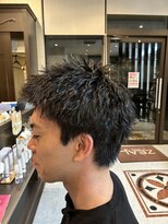 ジールステージ スリー(ZEAL STAGE-3) ソフトツイスト×スパイキーショート