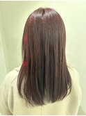 ツヤセミロング