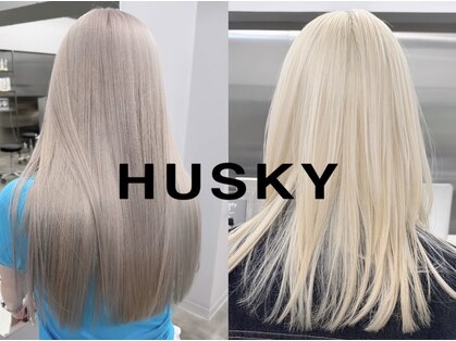 ハスキー(HUSKY)の写真