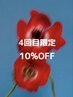 soilららぽーと【ヘア４回目】の方限定　　10%OFF