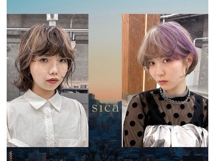 シカ(sica)の写真