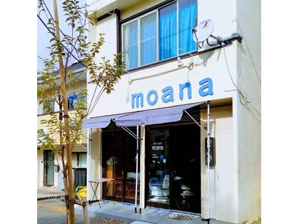 モアナ(moana)の写真