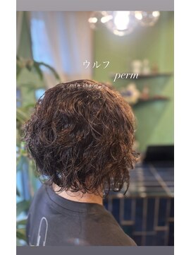 ハチ(.hachi) ウルフ perm