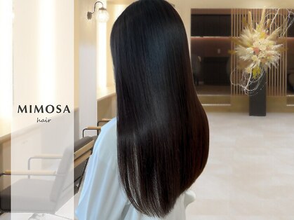 ミモザ(MIMOSA)の写真
