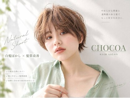 チョコア(CHOCOA)の写真