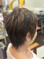 シーズンプラス(SEASON PLUS)&nbsp;30代40代50代60代脱白髪染め【SEASON＋野入】3Dカラーアッシュ6A