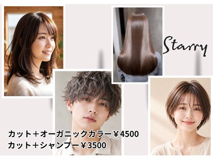 スタリー(Starry)の写真