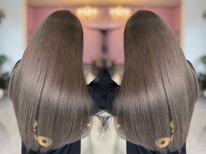 ステラ(STELLA)の写真