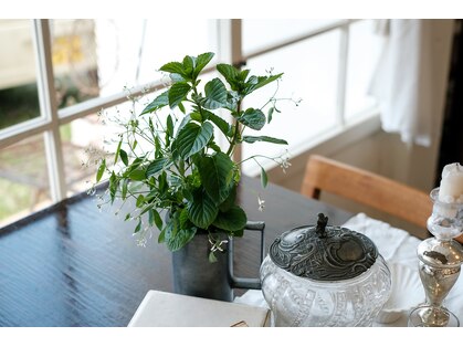 ヘアラウンジ アンリオ(hair lounge an rio)の写真