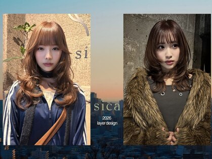 シカ(sica)の写真