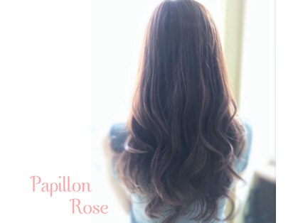 パピヨンロゼ(Papillon Rose)の写真