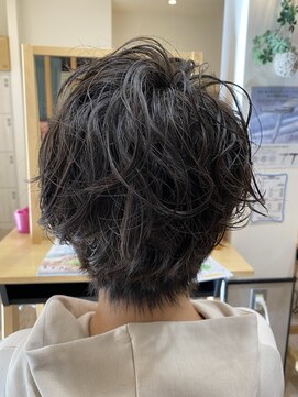 ビューティーパーク ヒロミ(Beauty Park 163) ウェーブショート