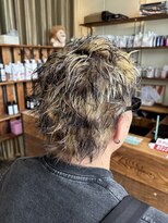 ルーディヘアーブランド(Ludi hair Brand) 個性全開！　メンズ　ウルフ×デザインカラー