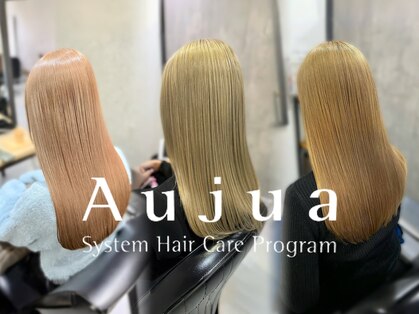 ソルバー(SOLVER)の写真