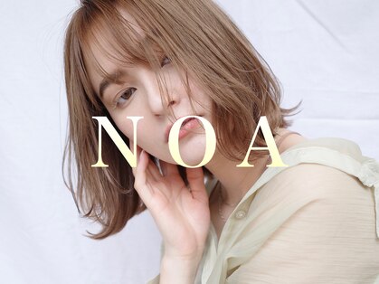 ノア(NOA)の写真