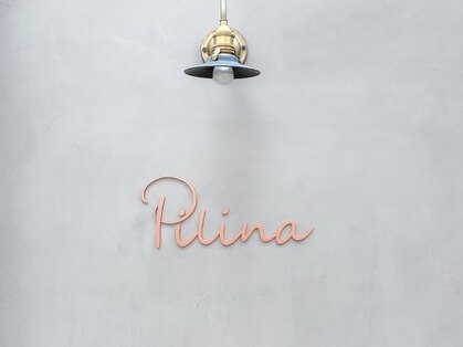 ピリナ(Pilina)の写真