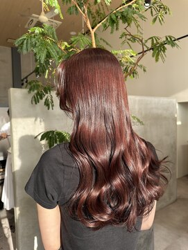 ルプラス(le place.) ボルドーカラー