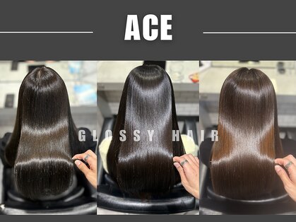 エース(ACE)の写真