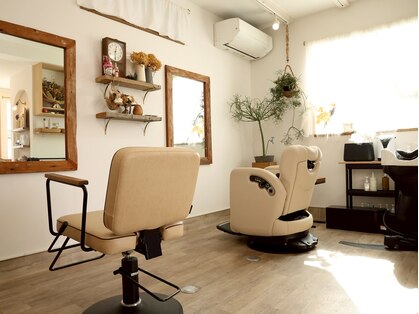 ハレア(halea)の写真