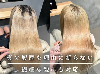 シンカ(shinka)の写真