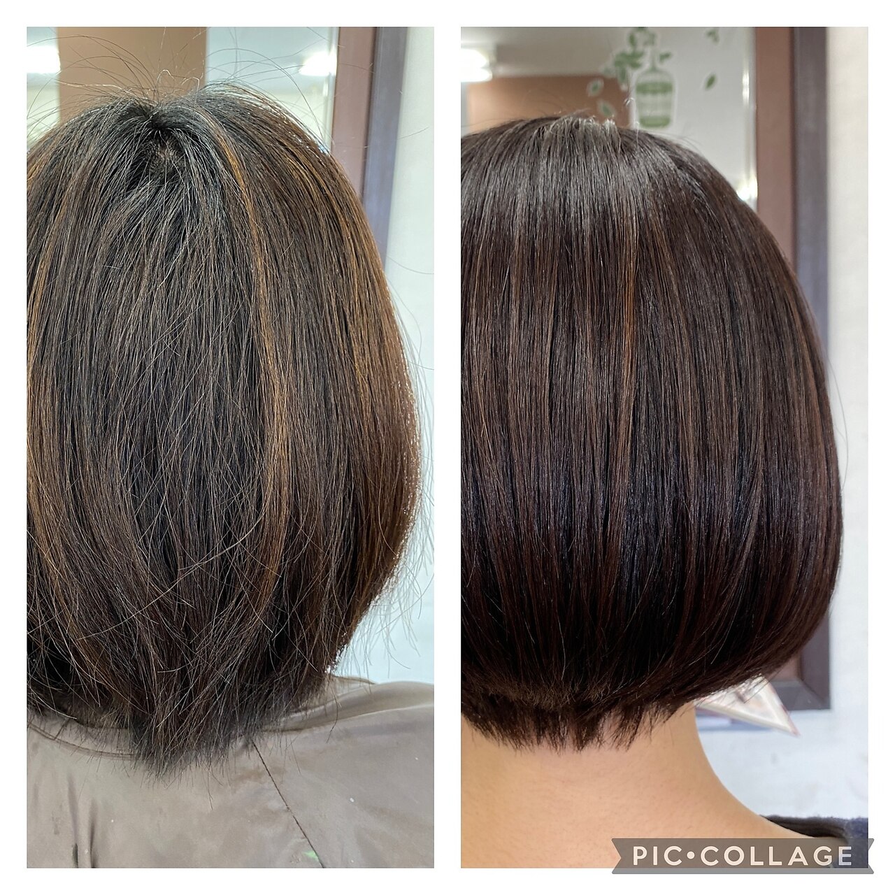 NONOヘアー お値下げ中 楽天市場】正規品 Nobby＋ （ノビープラス）プロテクトイオン ヘアー