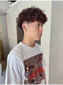 プードルパーマ スペインカール ツーブロックパーマ / 井上