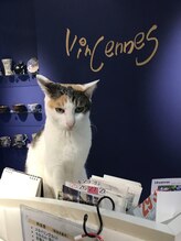 ヴァンセン(vincennes) 未来