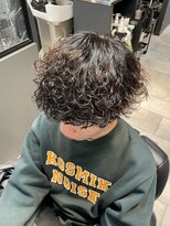 リットバイハレケ(Lit. by HAREKE)&nbsp;波巻きプードル