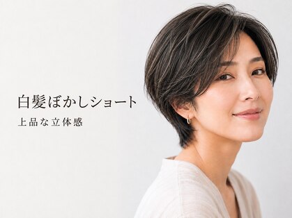 ウィールールピヴォクロス(WE RULE pivot cross)の写真