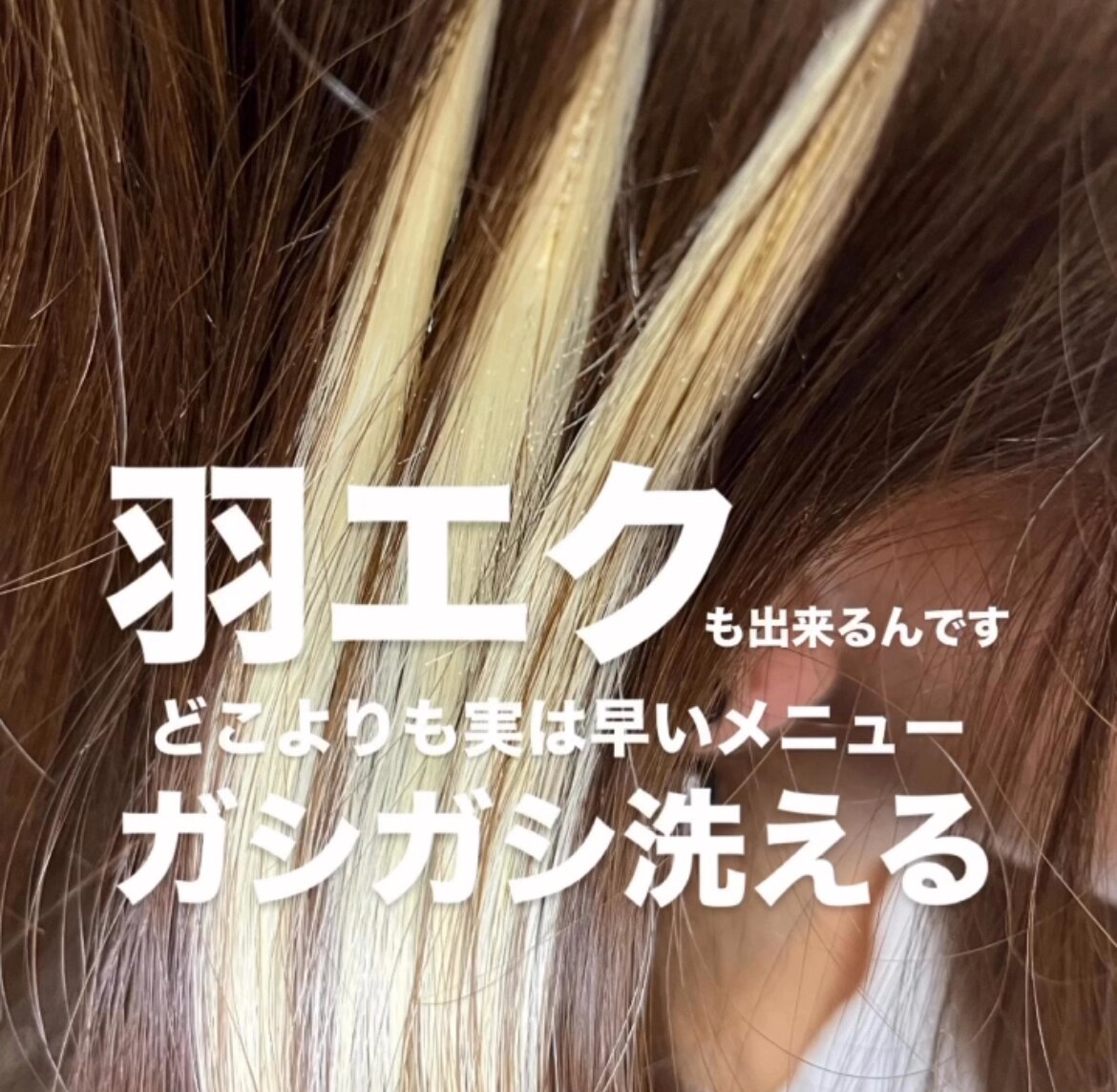 ティファニー様*300本シールエクステ