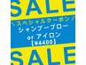 【★当日限定★】シャンプー・ブロー＆アイロン　45分/￥5280→“￥4400”
