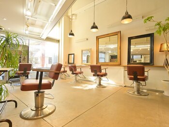 roraima中目黒【ロライマ】