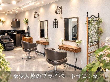 チョコア(CHOCOA)の写真