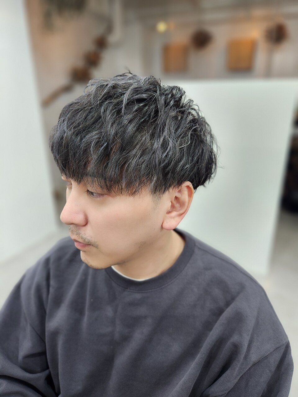 刈り上げマッシュ/シルバーメッシュ/ツイスパセット：L198887287