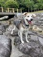 ブリーズ(BREAZE) 愛犬メロン君の散歩に癒されてます(^O^)