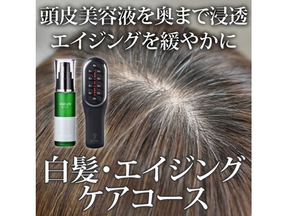 ルルン(Lu-Lun)の写真