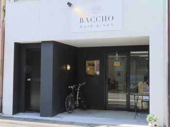 BACCHO HAIR&SPA