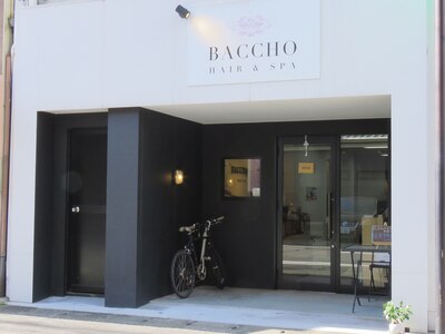 バッチョ ヘアーアンドスパ(BACCHO)