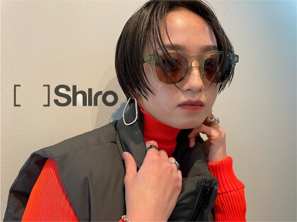 シロ(Shiro)の写真