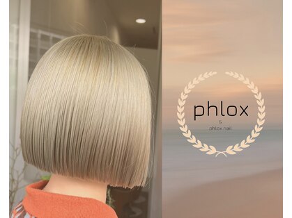 フロックス(phlox)の写真