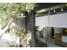 コモレビ(COMOREVI)の雰囲気（階段を上がると、シンボルツリーのオリーブが迎えてくれます♪）