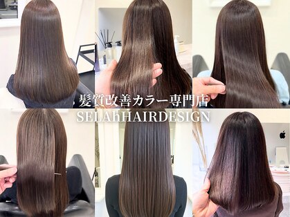 セラ ヘアデザイン(SELAh)の写真