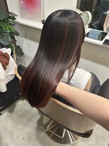 セトル(Settle)&nbsp;アンブレラカラー/red